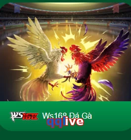qqlive